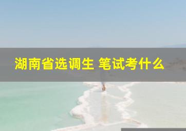 湖南省选调生 笔试考什么